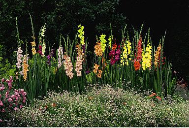 《瑞奇与叮当：分离》PC今晚11点解锁 首发A卡不支持光追